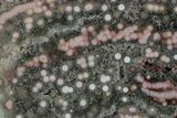Polished Orbicular Ocean Jasper Slab - Madagascar #379339-1